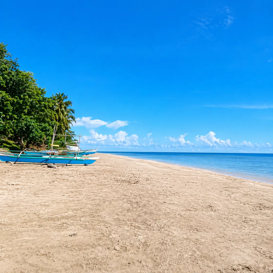 Photo of Beach Lot for Sale in Napsan, Puerto Princesa City