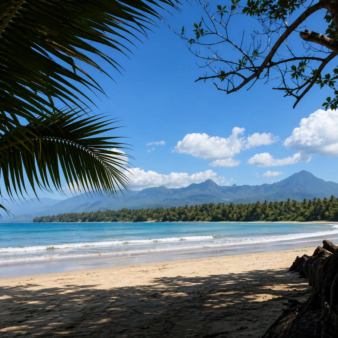 Photo of Beach Lot for Sale in Napsan, Puerto Princesa City