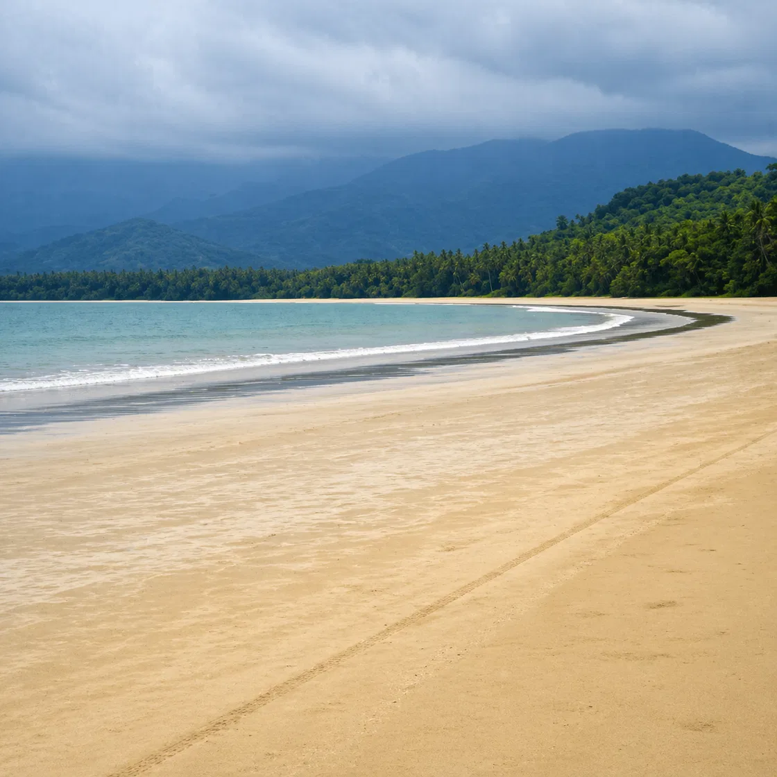 Photo of Beach Lot for Sale in Napsan, Puerto Princesa City