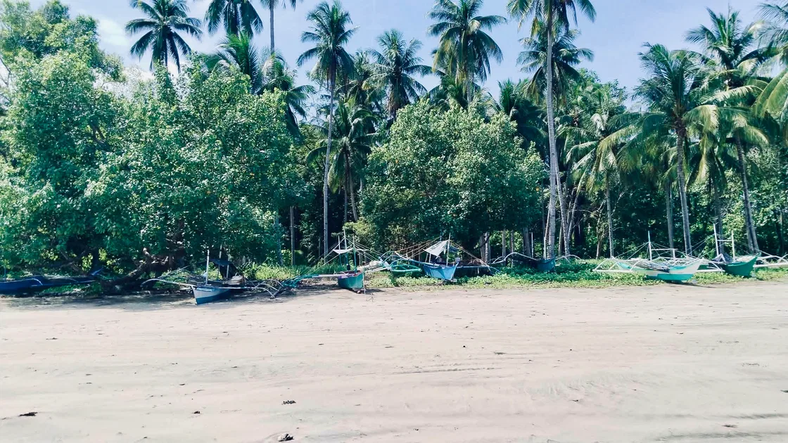Photo of Beach Lot for Sale in Napsan, Puerto Princesa City