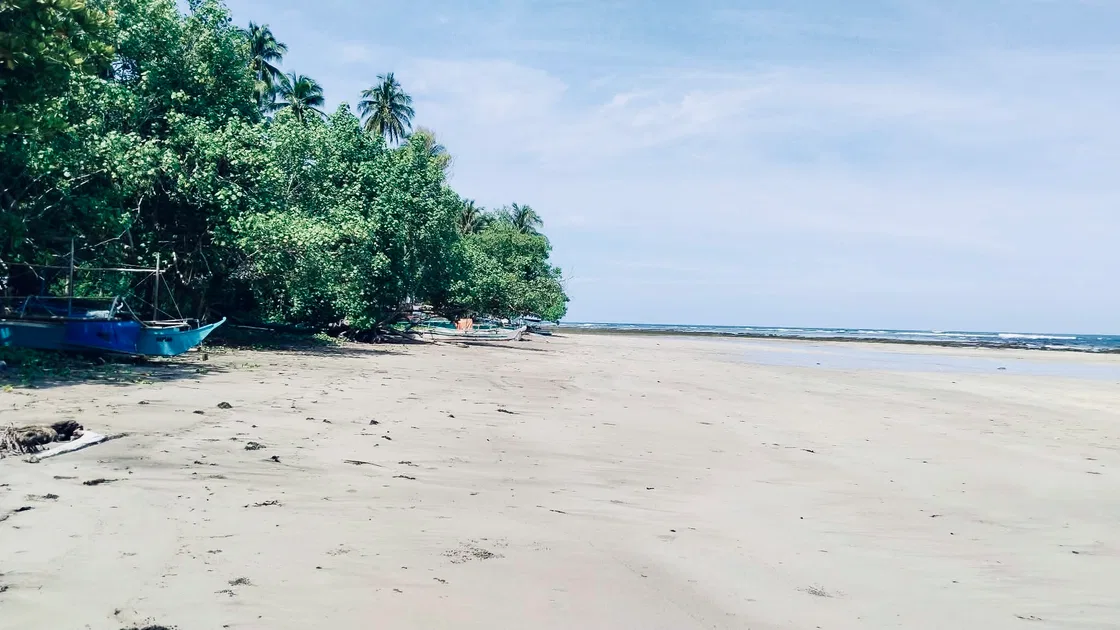 Photo of Beach Lot for Sale in Napsan, Puerto Princesa City